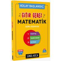 Şenol Hoca Çıtır Çerez Matematik 